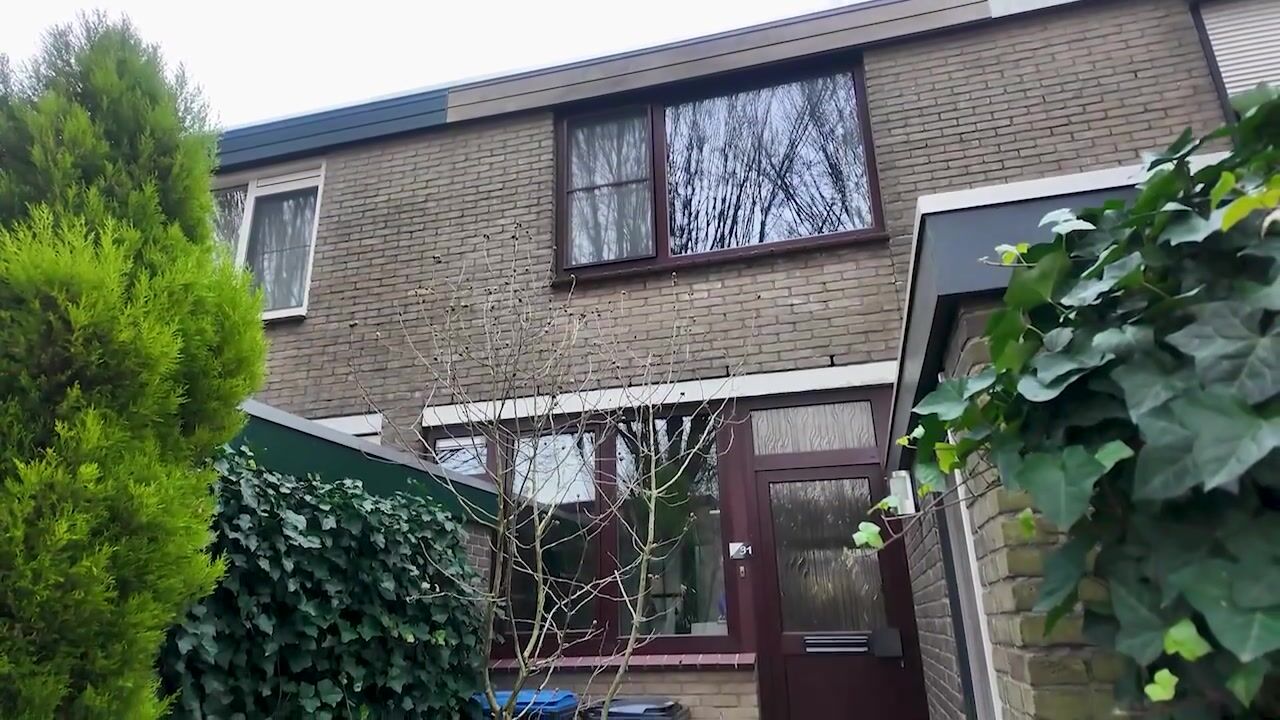 Video of Ridderhof 31