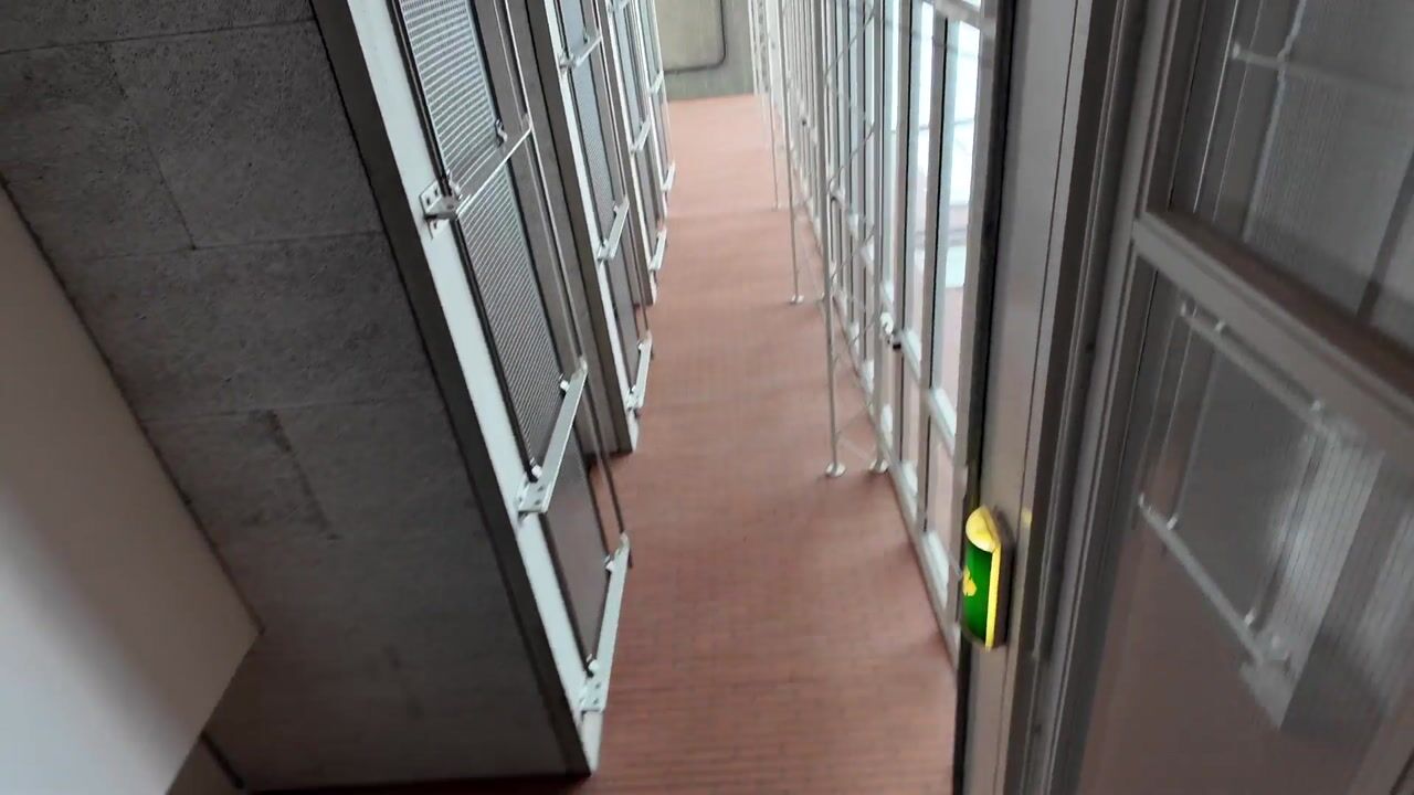 Video van Herenstraat 130