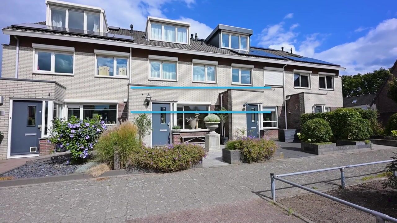 Video van Koraalzwam 15