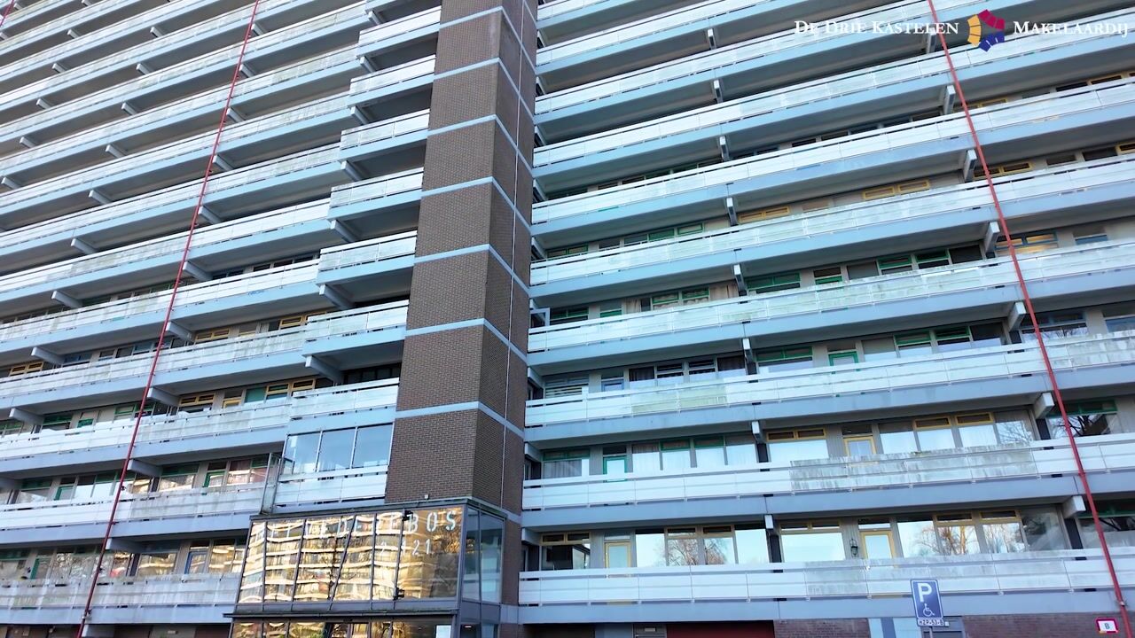 Video van Belvédèrebos 46