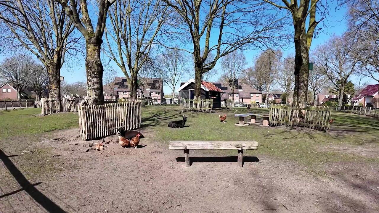 Video of Havixhorst 73