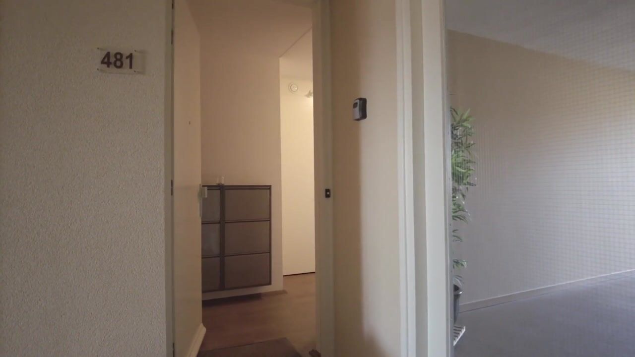 Video van Lavendel 481