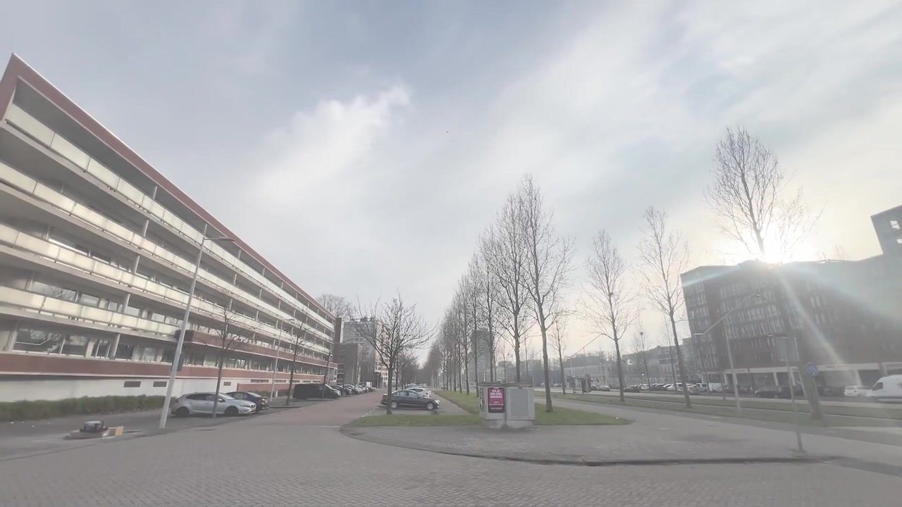 Video van Oeverpad 281