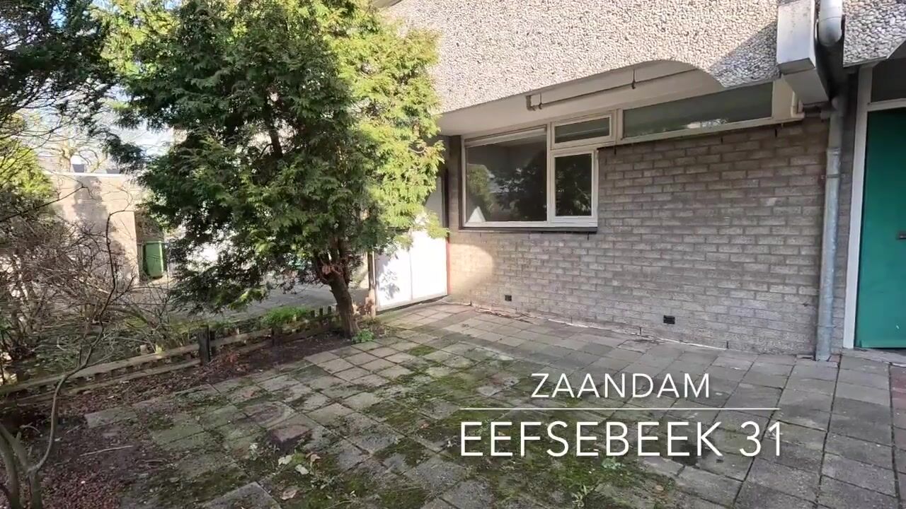 Video van Eefsebeek 31