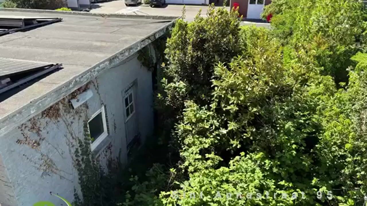 Video of St. Annastraat 95