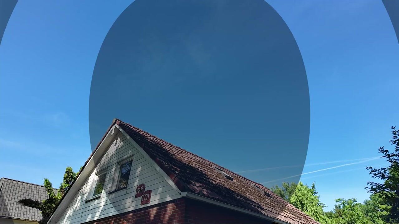 Video of Zuiderdiep 343