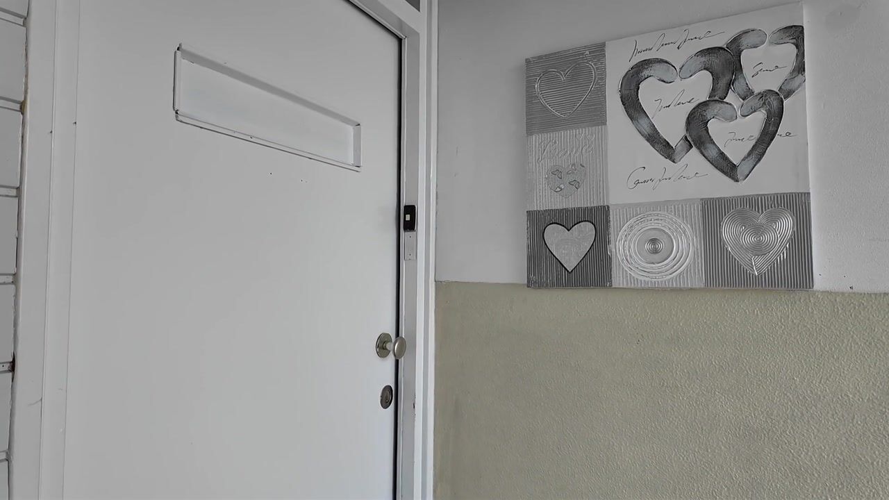 Video van Lelieplein 5-C