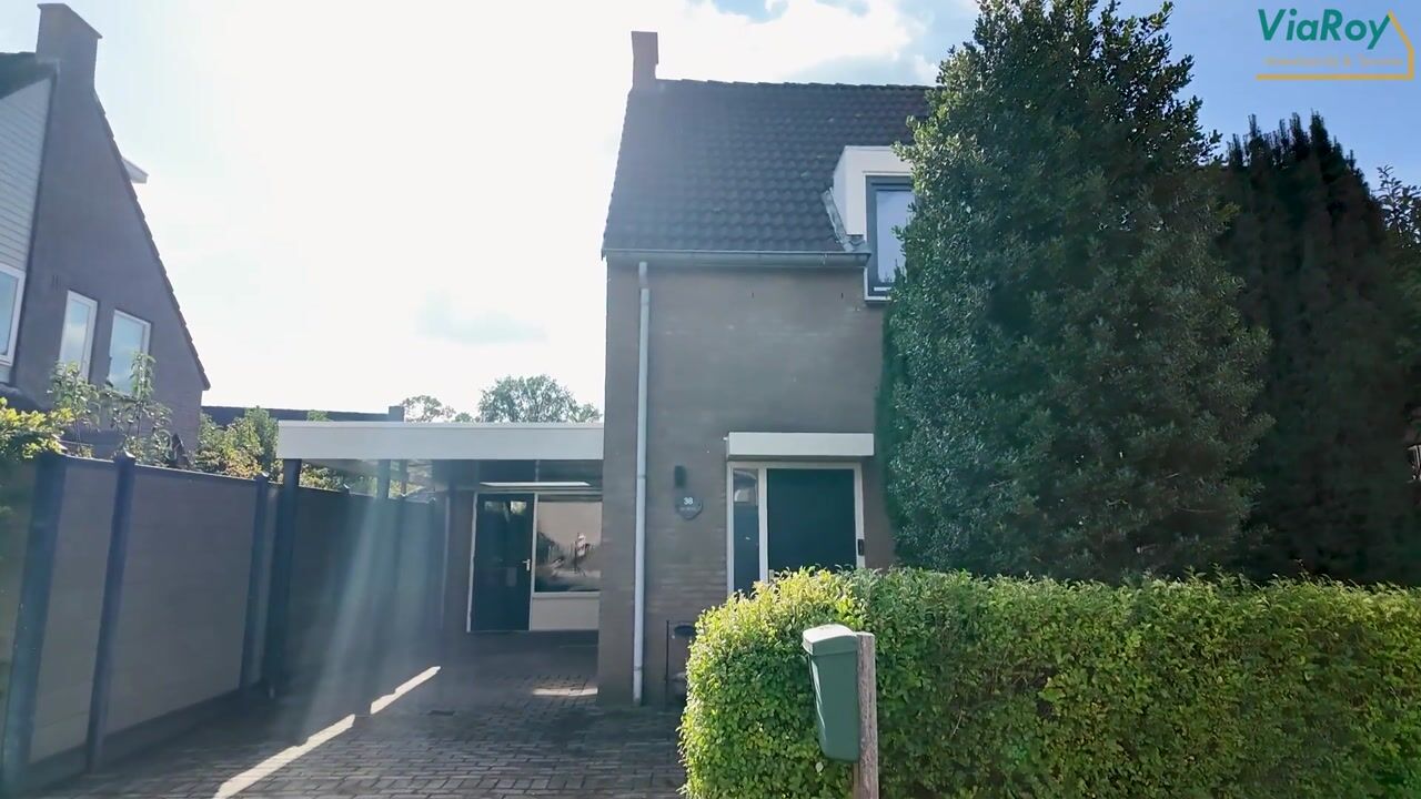 Video van De Wilgen 38