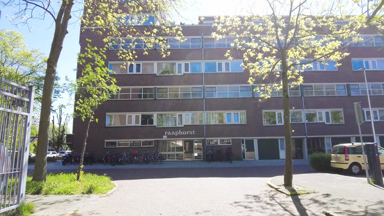 Video of Raaphorst 91