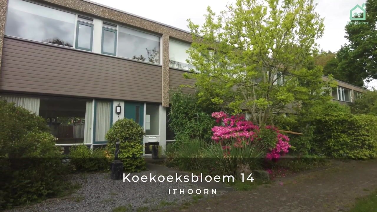 Video of Koekoeksbloem 14