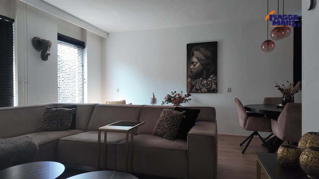 Video of De Fazant 119