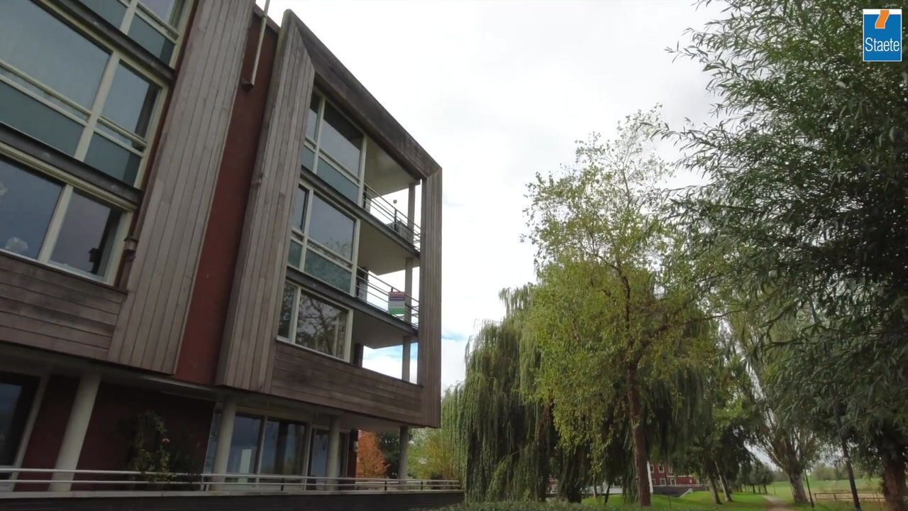 Video of Maïsveld 40