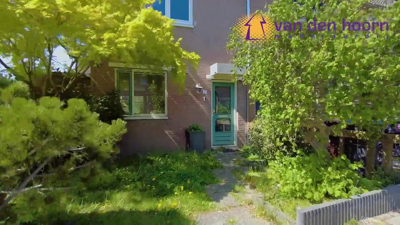 Video of Samoas 21