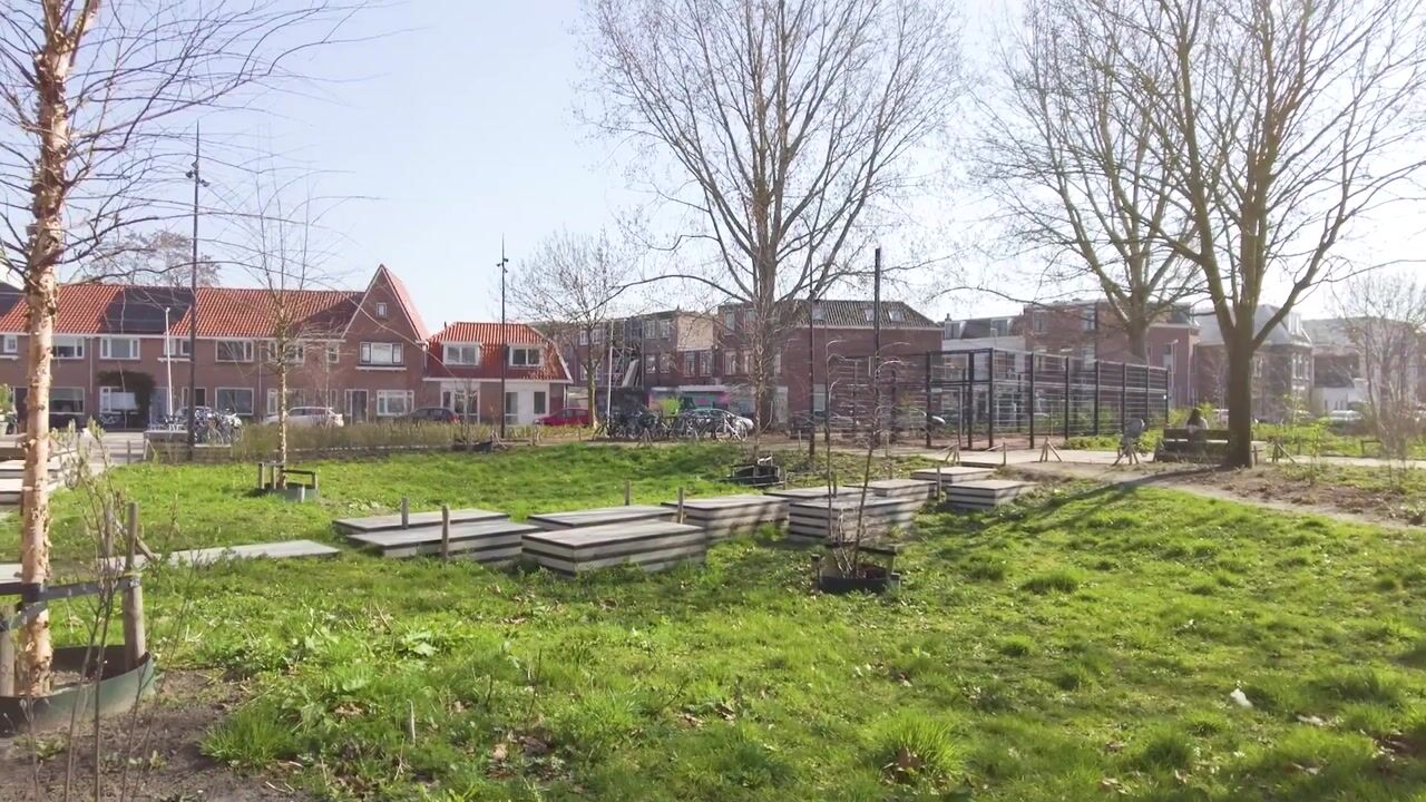 Video van 2e Daalsedijk 149