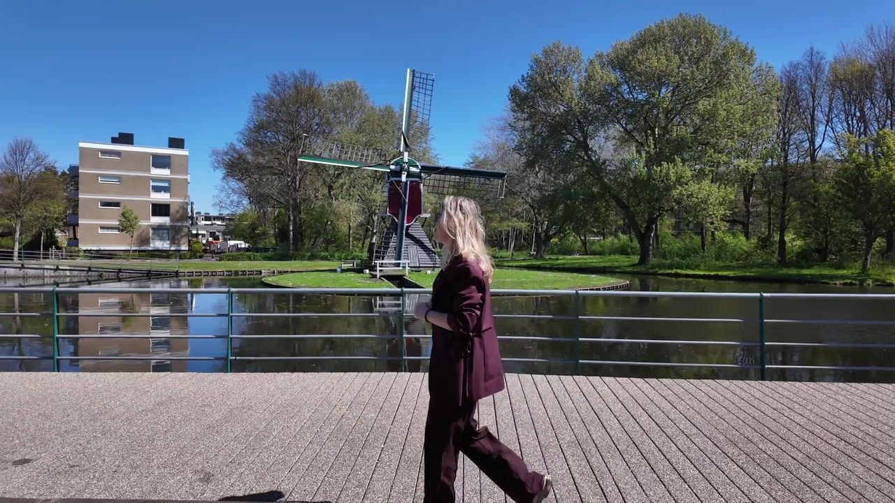 Video of Frans Halslaan 177