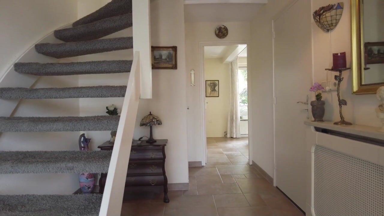 Video of Lisdodde 22