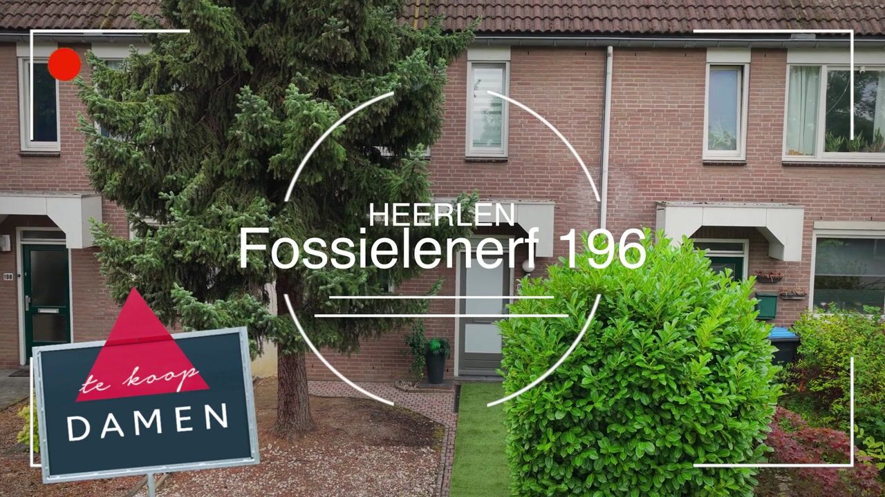 Video van Fossielenerf 196