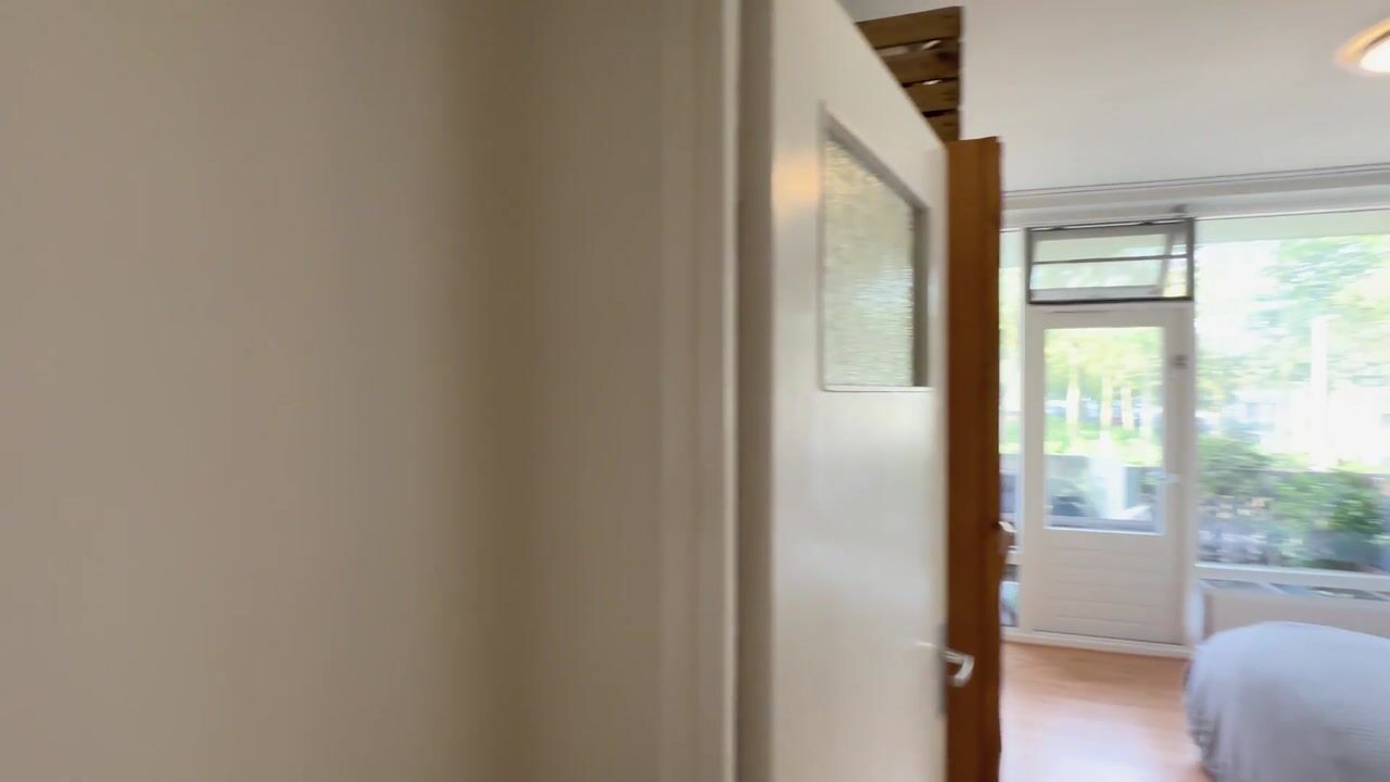 Video of Kamerlingh Onneslaan 42