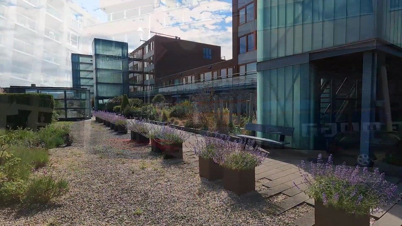 Video van Dr. Lelykade 216