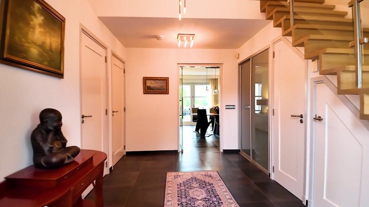 Video of Maasland 40