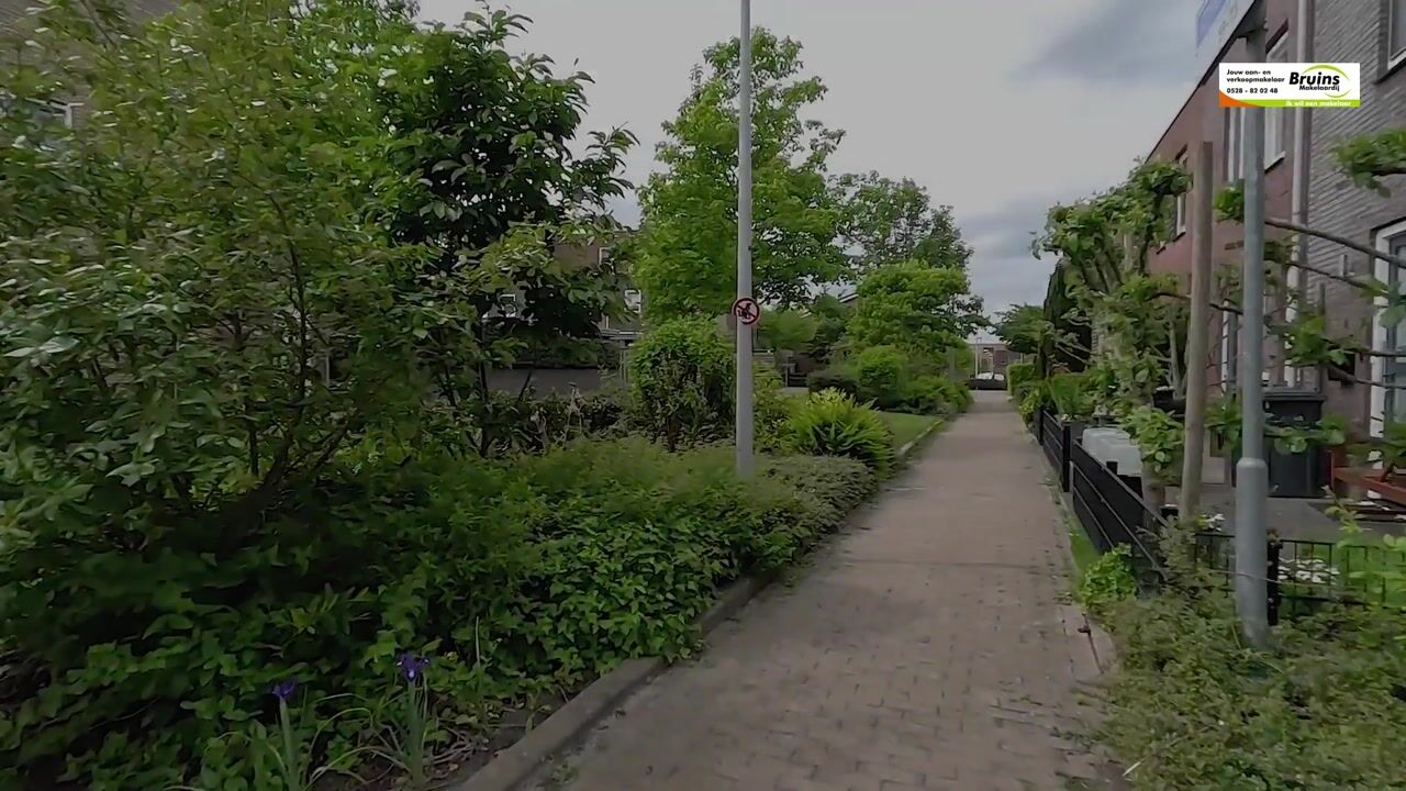 Video van Citroenvlinder 71