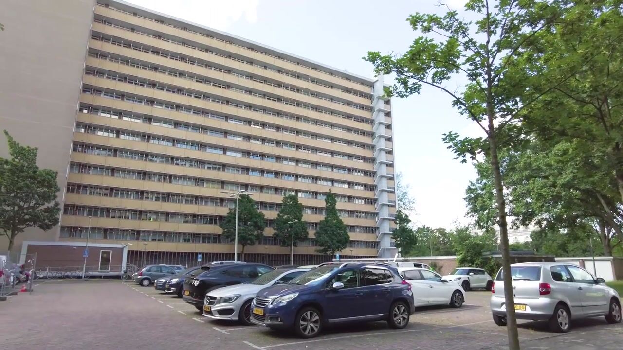 Video van Langswater 621