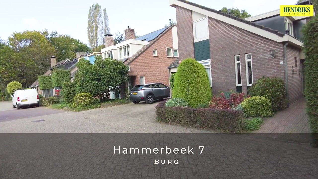 View video of Hammerbeek 7