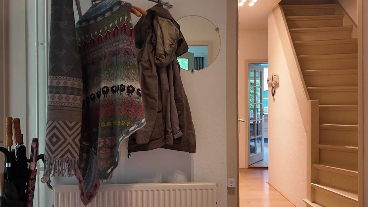 Video of Kerkendelweg 59