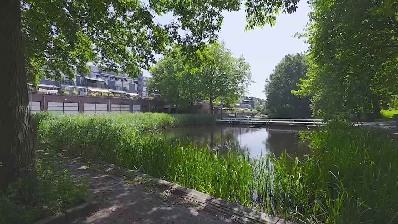 Video van Engelenburg 9