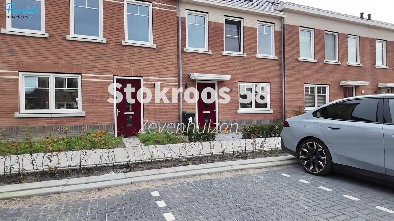 Video of Stokroos 58