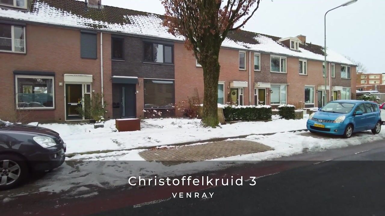 Video van Christoffelkruid 3