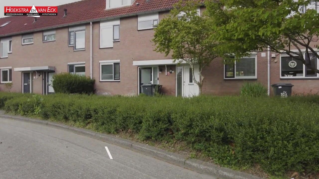 Video van Achelpad 41