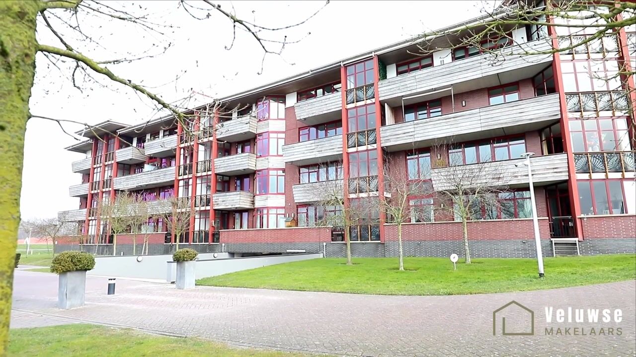 Video of Zuiderzee op Zuid 83