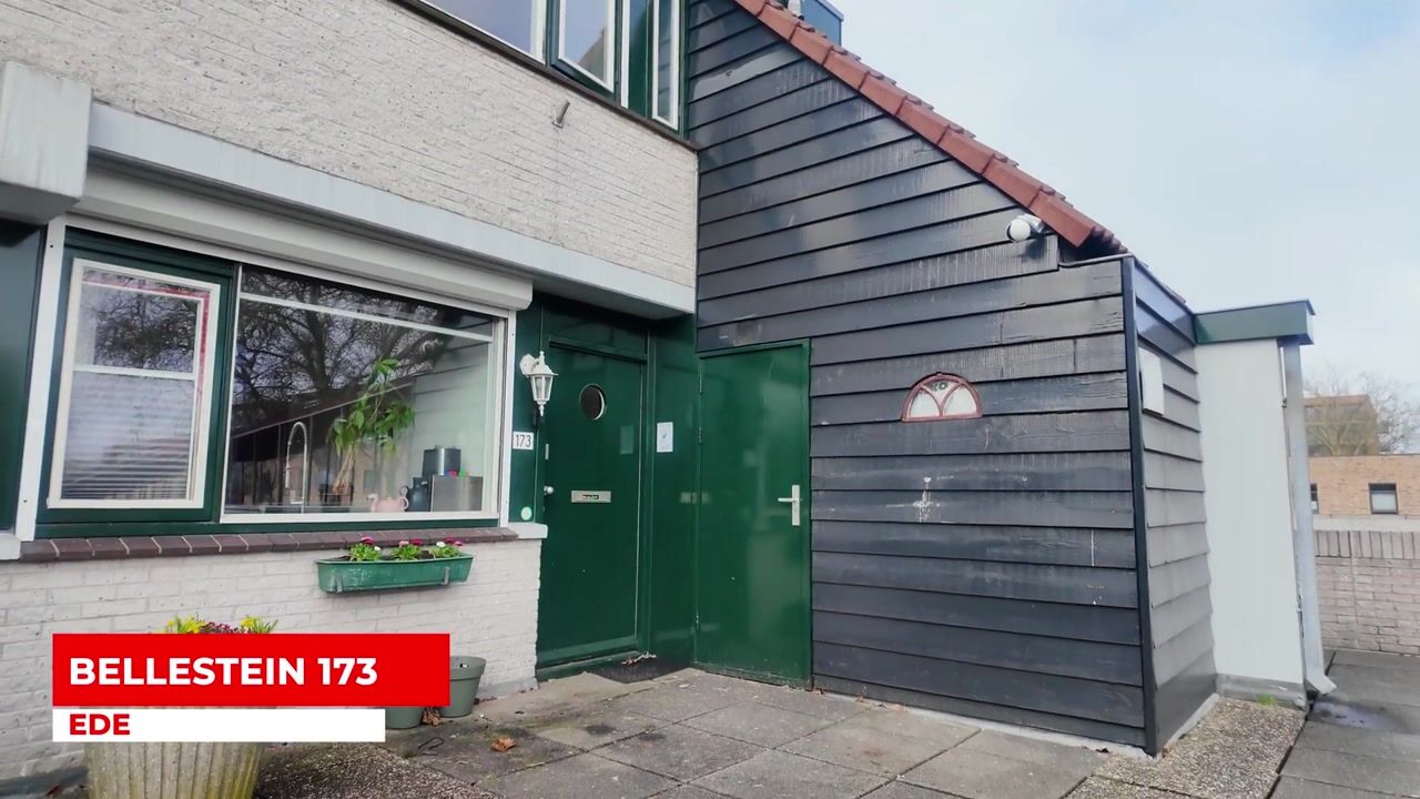 Video of Bellestein 173