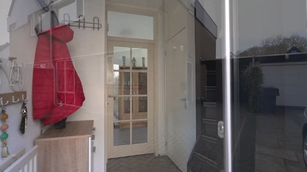 Video van Eendenkooi 3