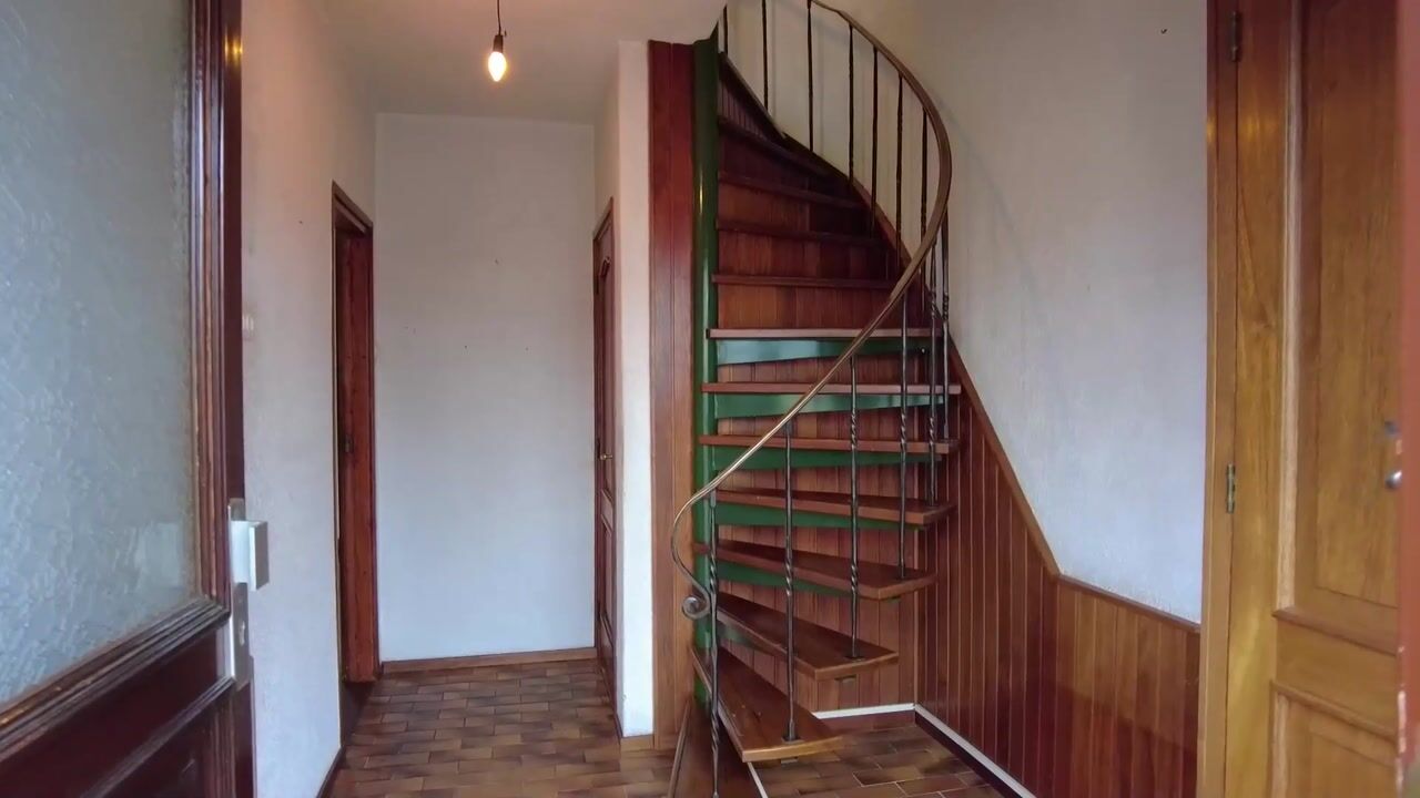 Video of Hazelaar 50