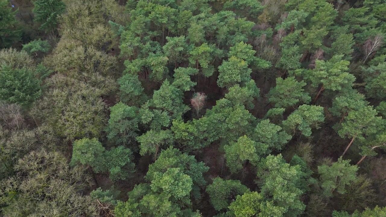 Video van Dennenlaan 2