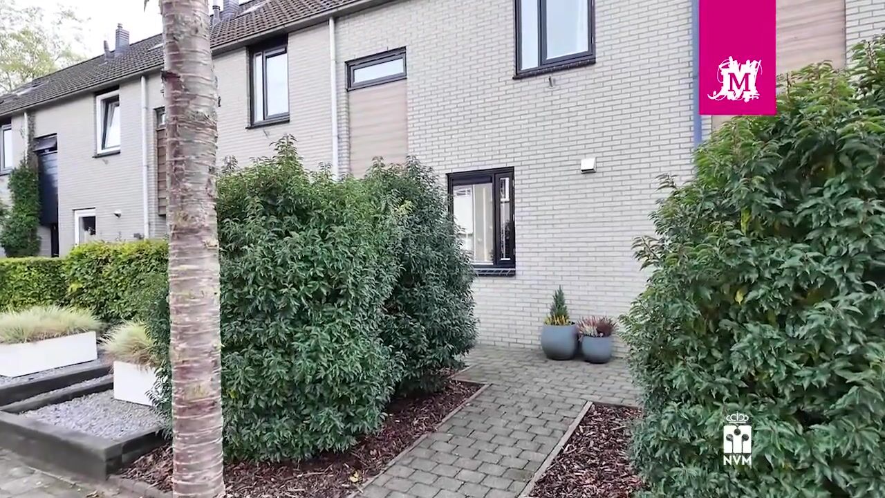 Video van Münsterstraat 12
