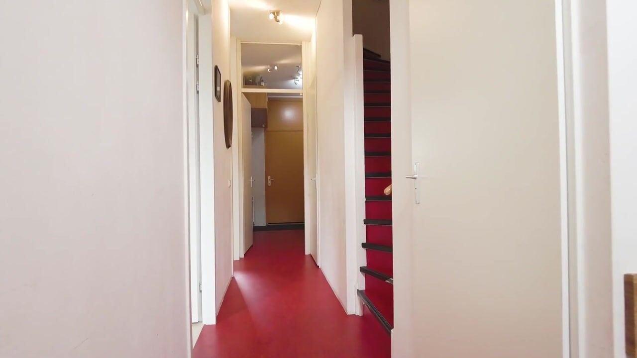 Video van Paradijsvogelstraat 41