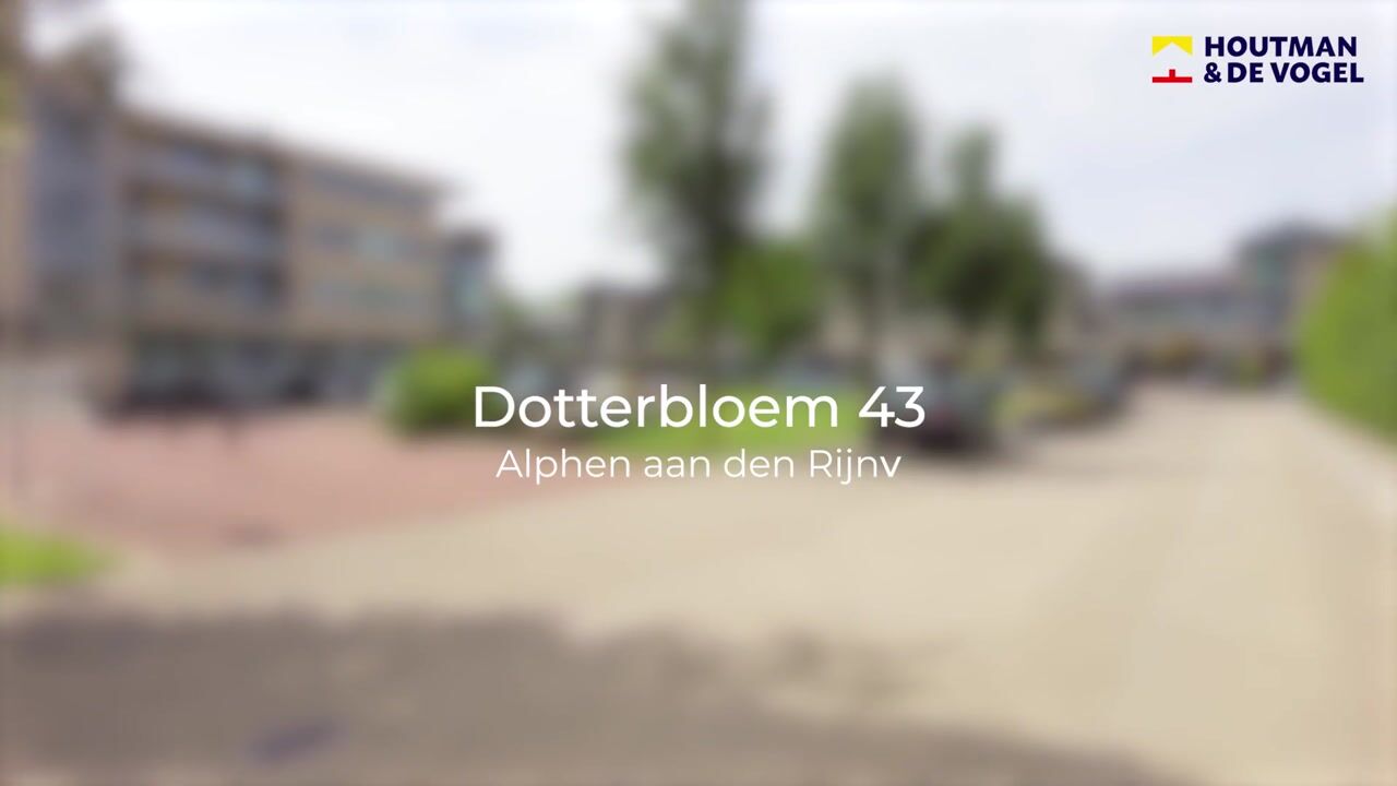 Video van Dotterbloem 43