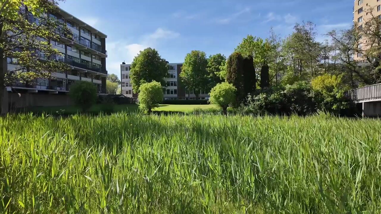 Video van van der Waalsstraat 26