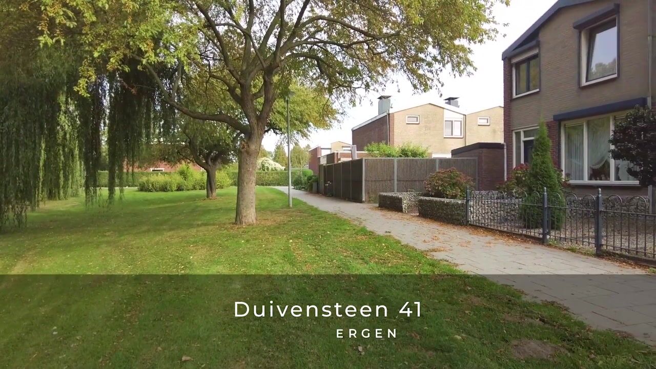 Video of Duivensteen 41