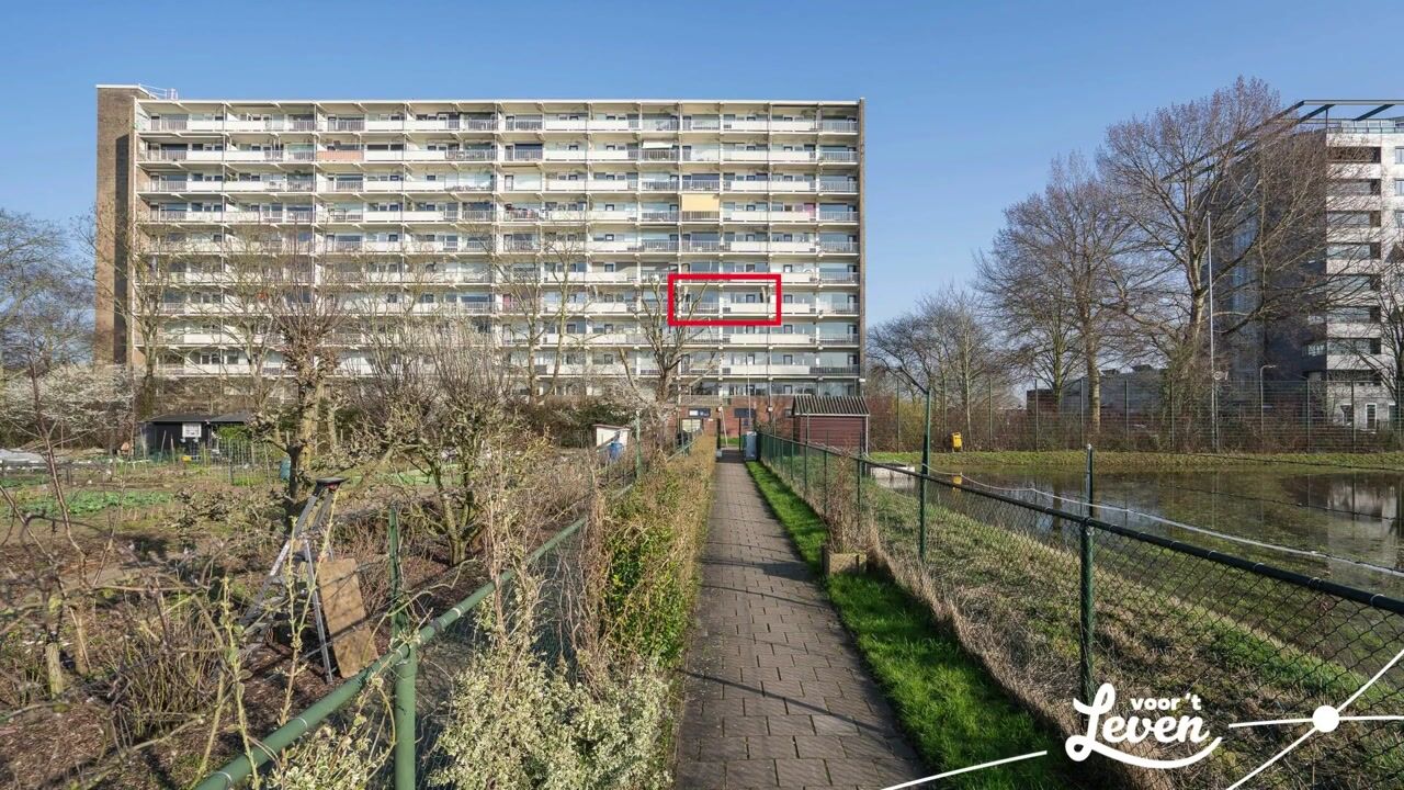 Video of Sperwerstraat 31