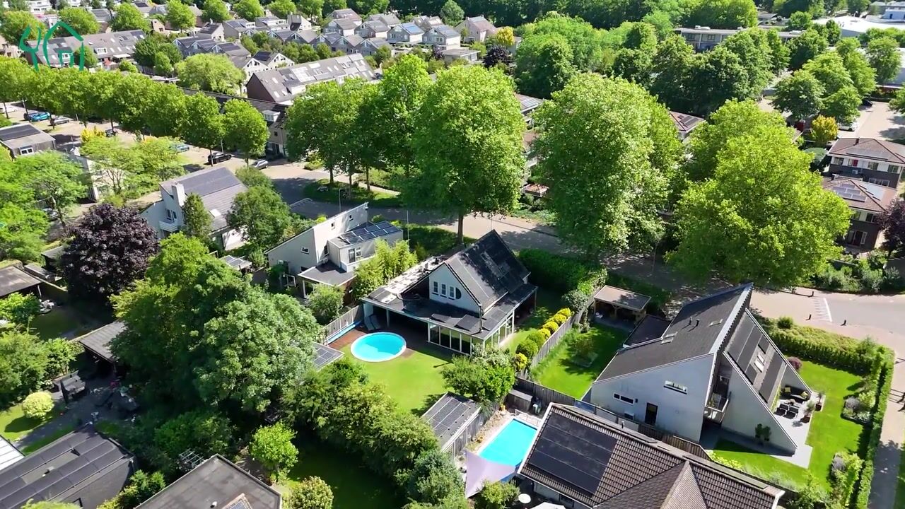 Video van Citroenvlinder 3