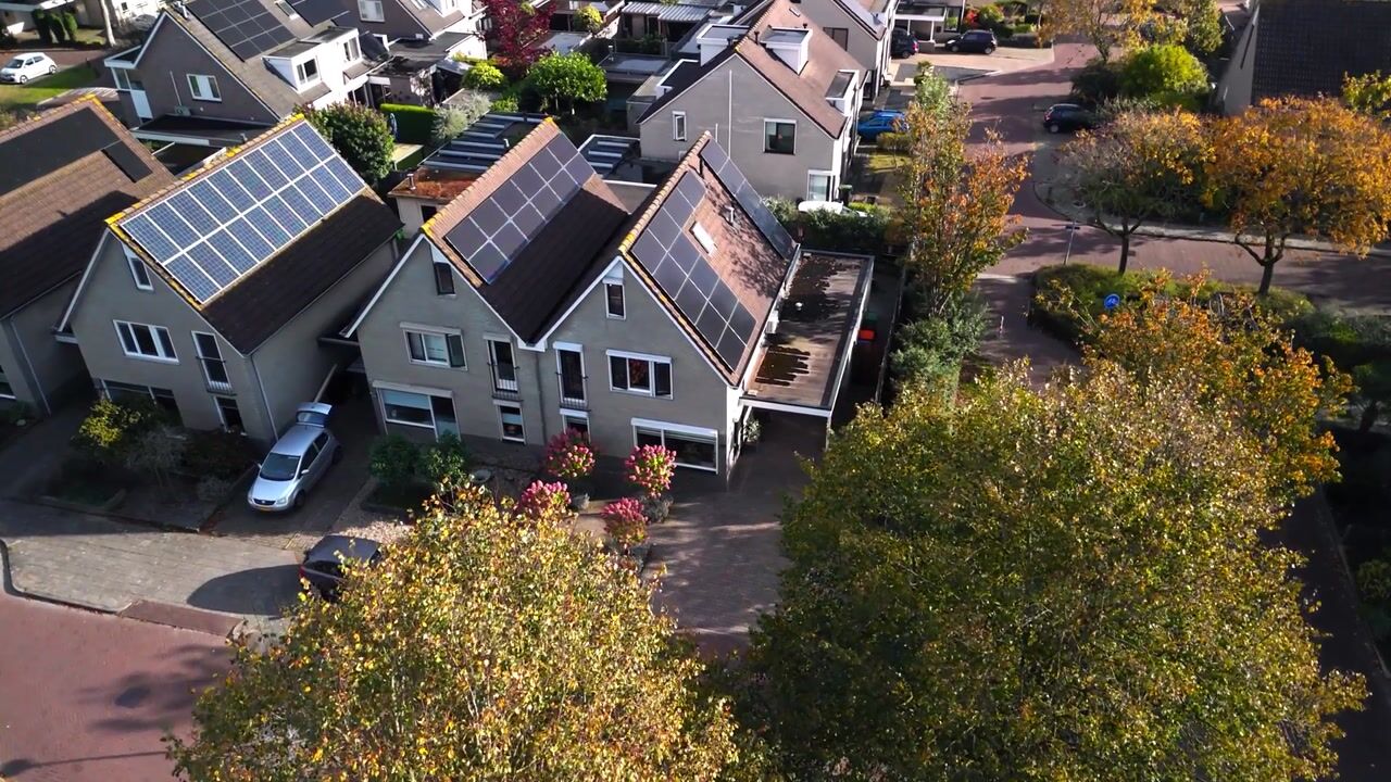 Video van Anemoon 25