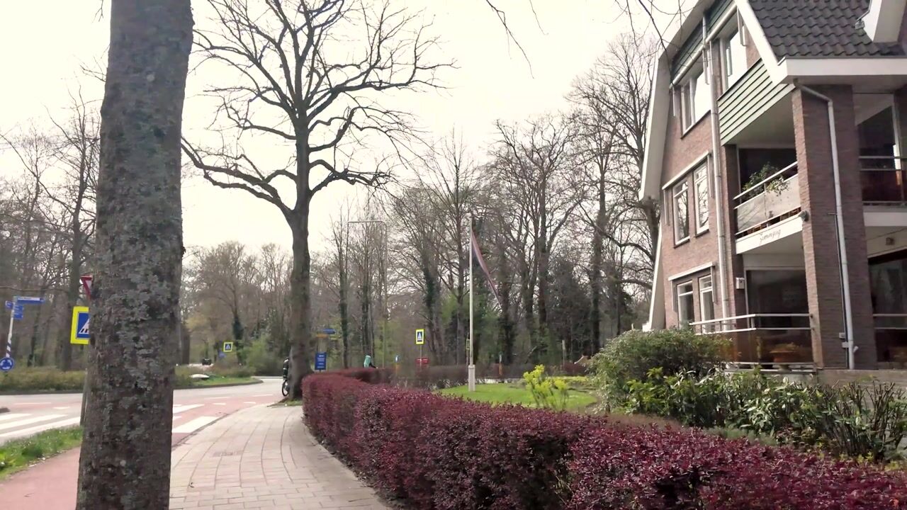 Video van Brederodelaan 104