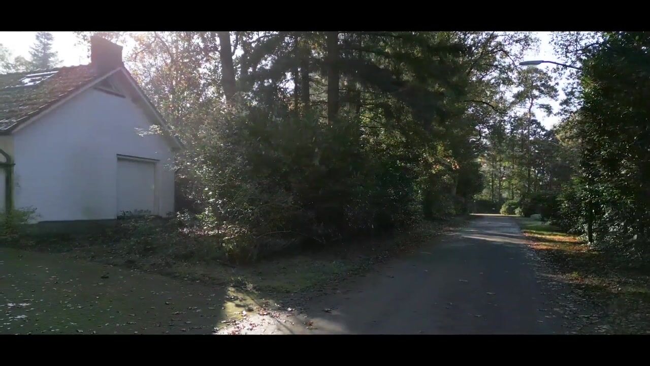 Video of Jan van Rotselaerlaan 4