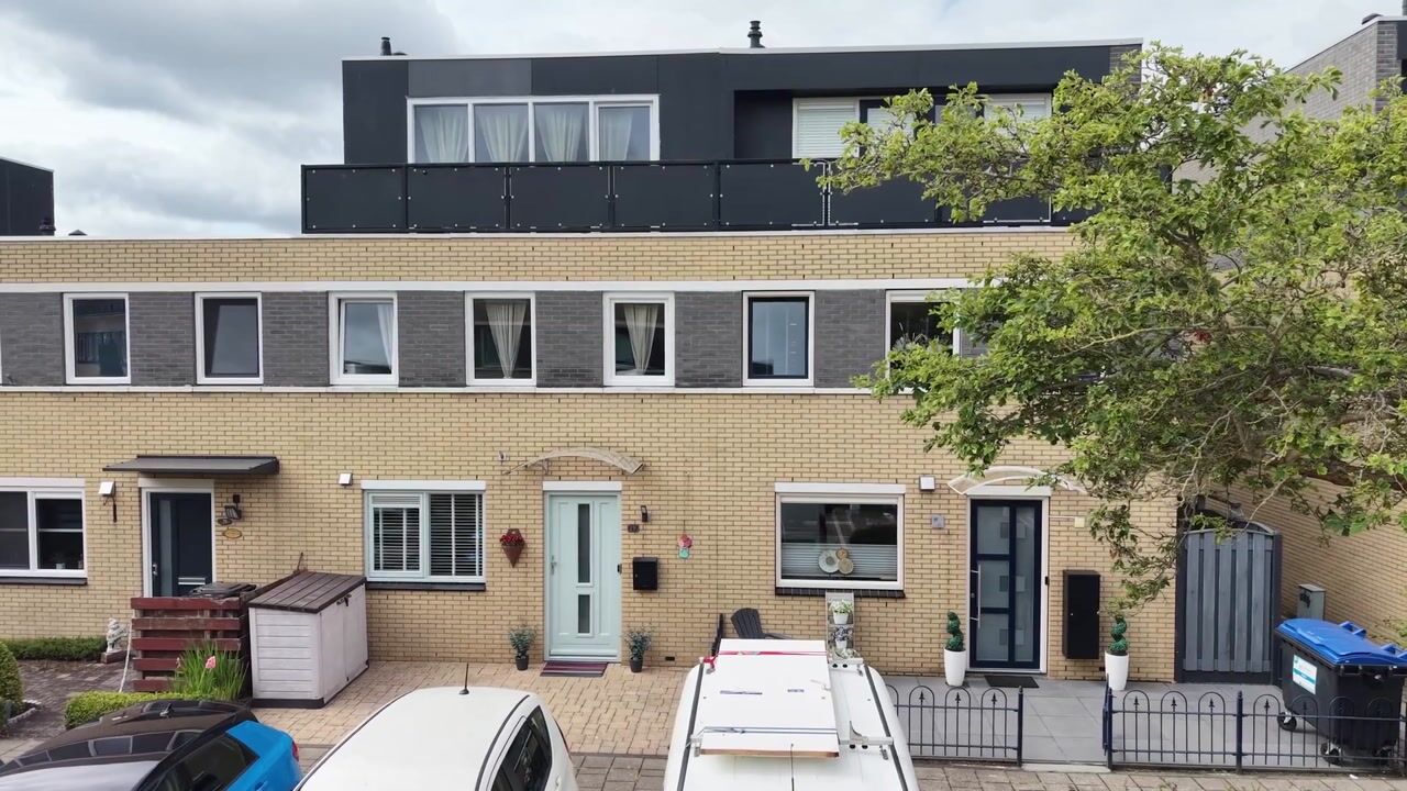 Video van Pruisisch blauw 19