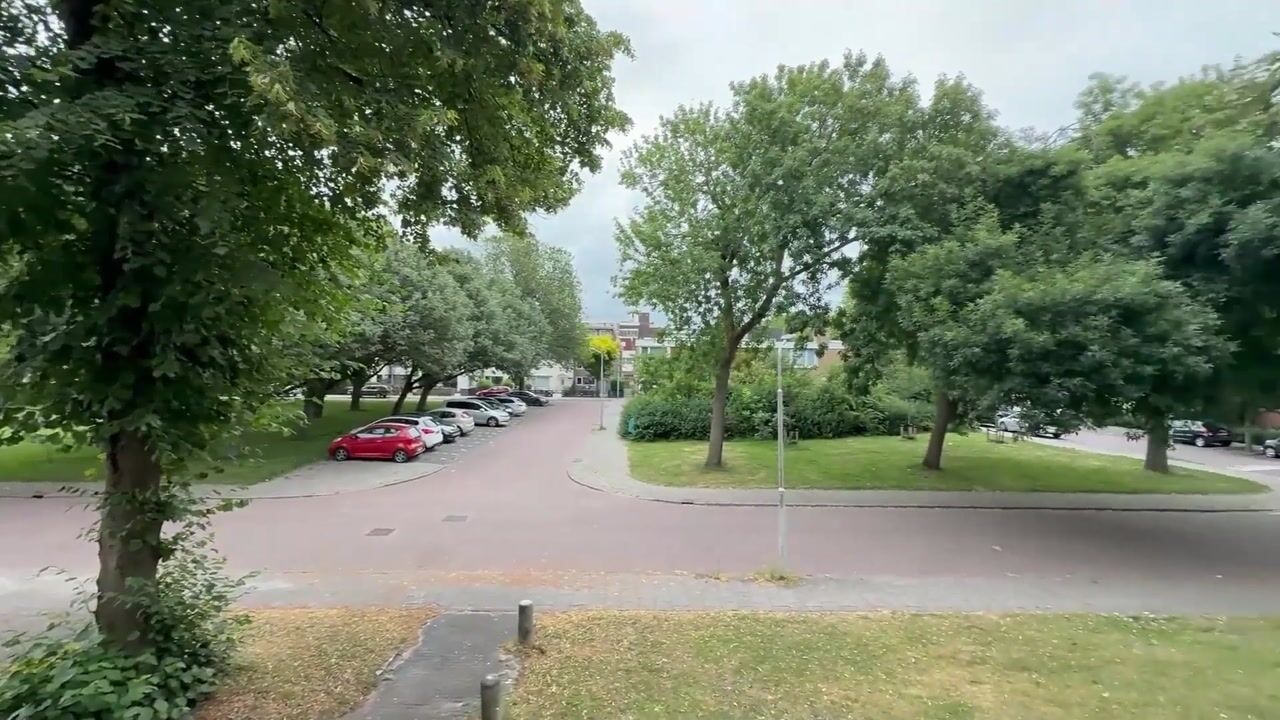 Video van Zilverschoonplein 25