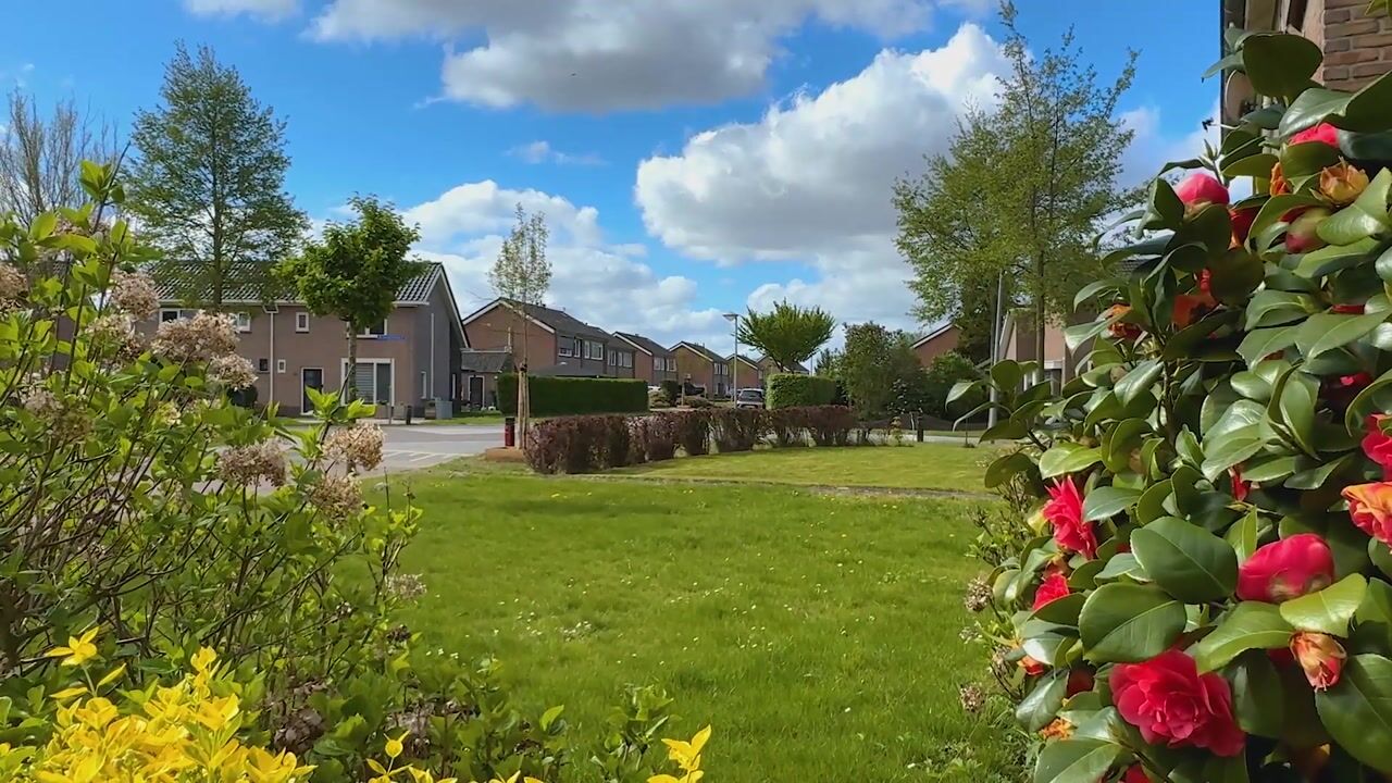 Video van Liaslaan 6